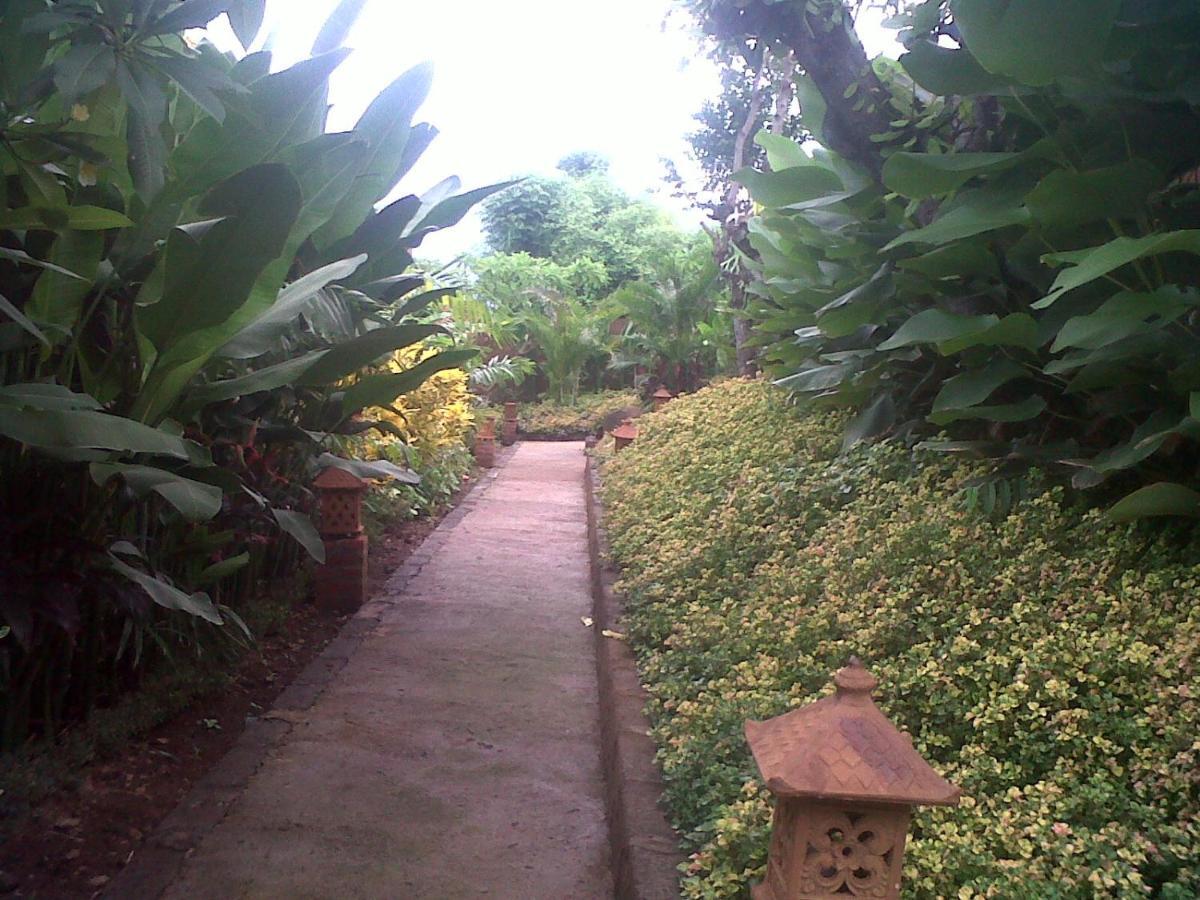 Eliska Sari Bungalows Sumberkima Pemuteran  Ngoại thất bức ảnh